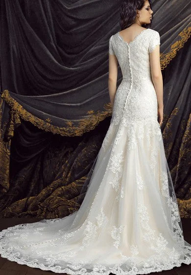 A-line Lace Short Sleeve Wedding Gown